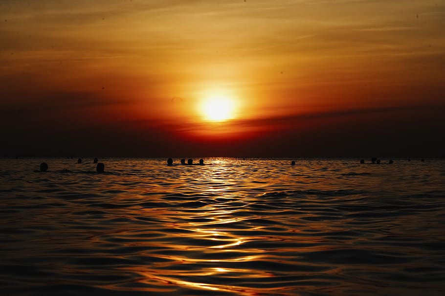 Body of Water during Golden Hour, backlit, beach, dawn, dramatic sky HD wallpaper