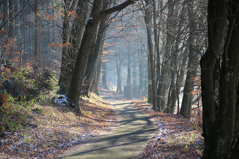 light, winter, sunrise, sunbeam, mood, landscape, cold, nature HD wallpaper