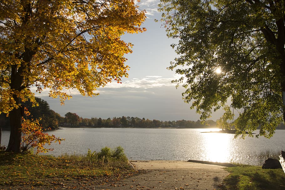 fall, lake, trees, colorful, landscape, autumn, water, scenic HD wallpaper