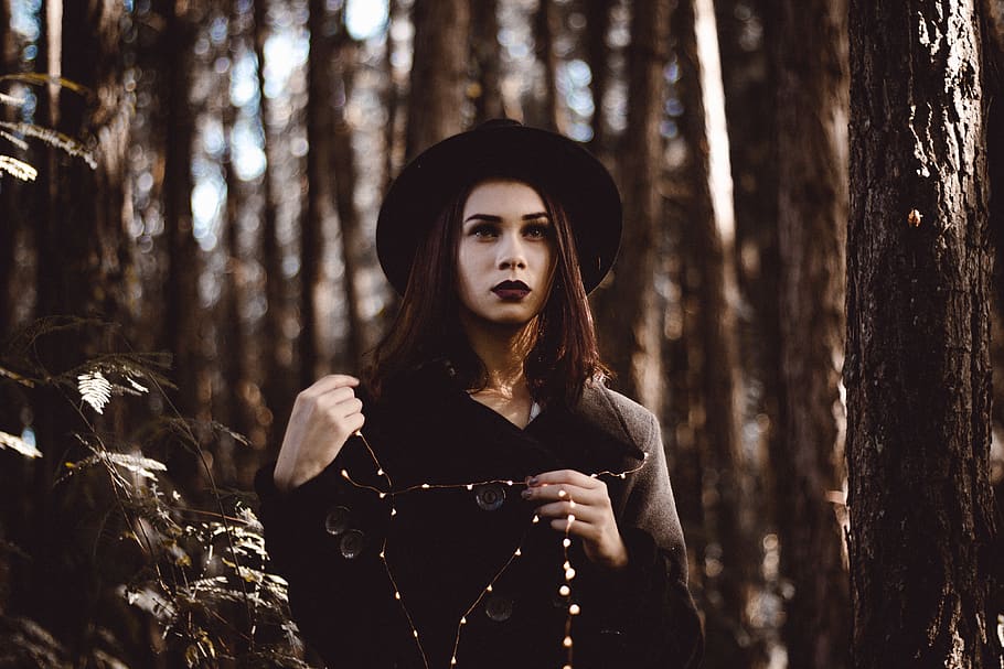 tree, light, fairy light, led, portrait, field, natural, nature HD wallpaper