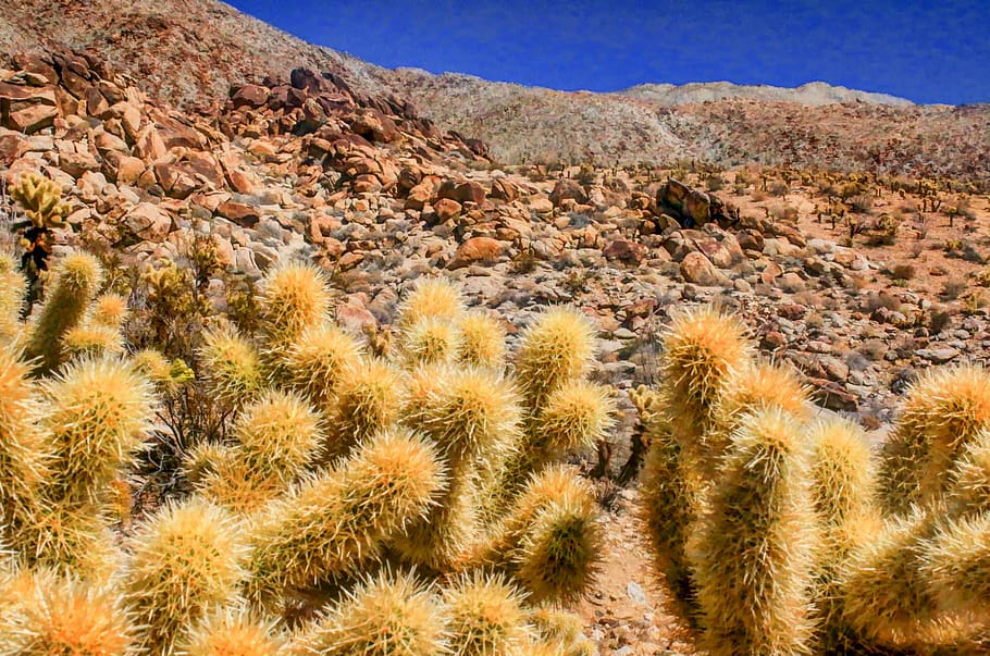 rocks, mountains, desert, california desert, cactus, anza borrego, HD wallpaper