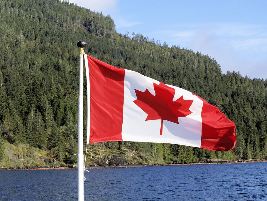 flag, canada, symbol, red, maple leaf, tree, patriotism, nature HD wallpaper