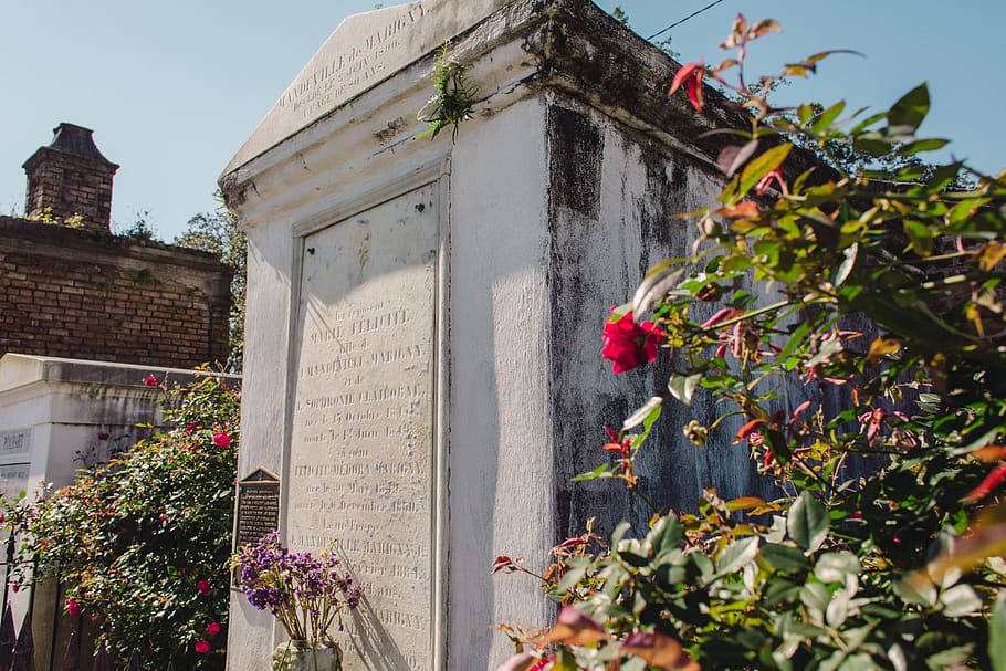 white-painted building, tomb, plant, flower, blossom, flower arrangement, HD wallpaper