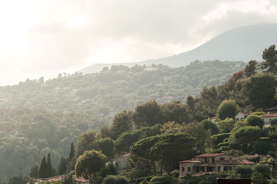 tree, plant, architecture, mountain, built structure, building exterior HD wallpaper