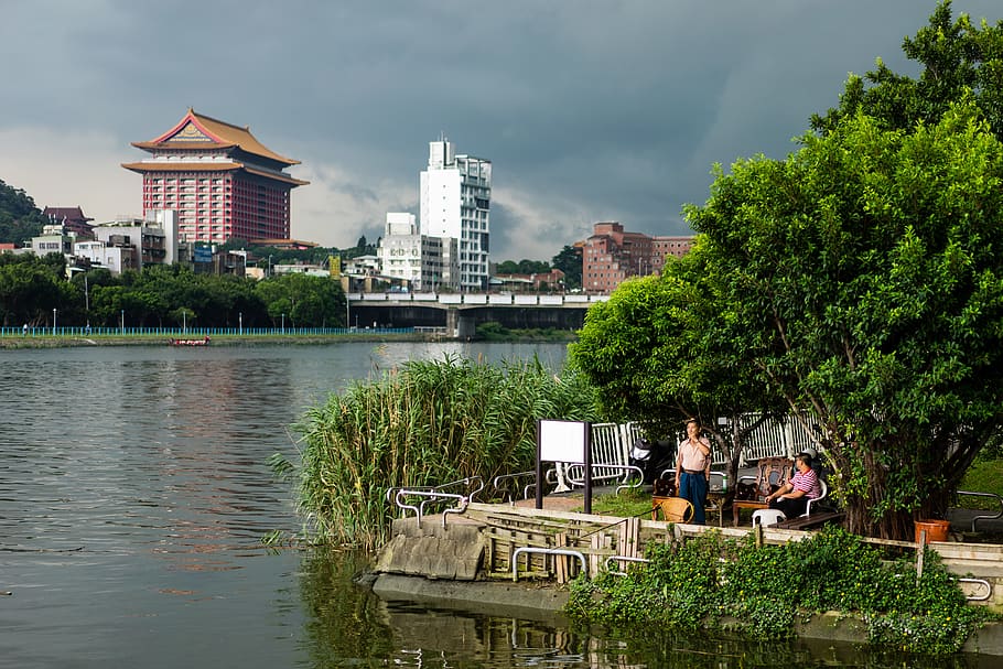 taipei, men, river, trees, water, architecture, building exterior HD wallpaper