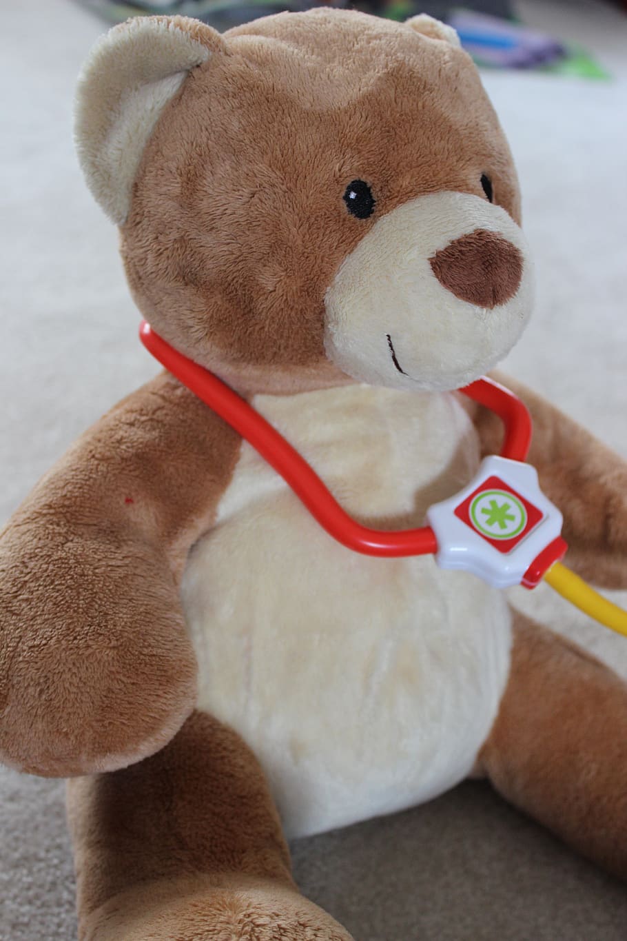 bear, doctor, profession, medic, checkup, animal themes, mammal HD wallpaper