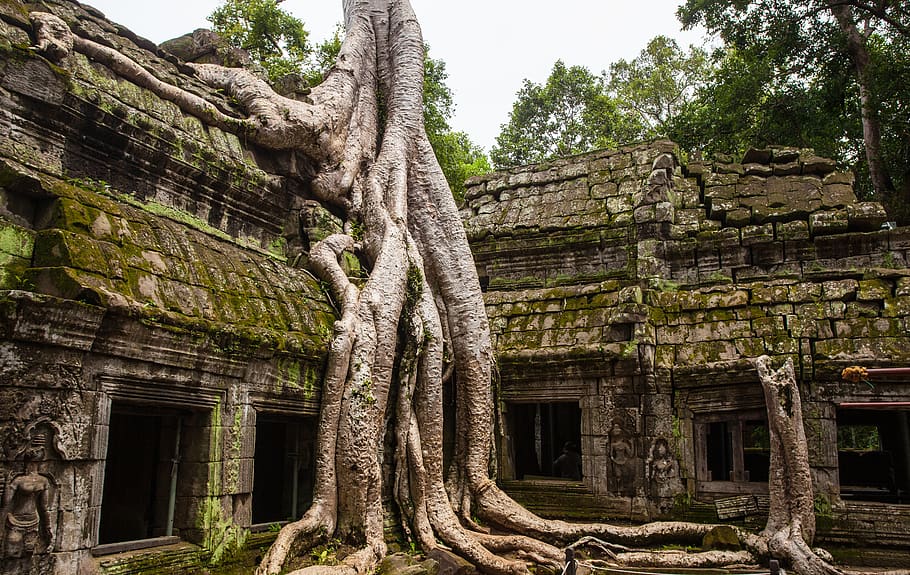 Green Leafed Trees, ancient, archaeology, architecture, buddha HD wallpaper