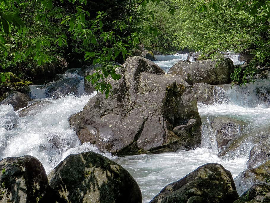 stream, running, water, flow, nature, landscape, jungle, wild HD wallpaper