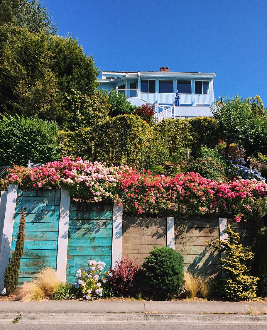 blue house on mountain, seattle, building, housing, villa, united states HD wallpaper