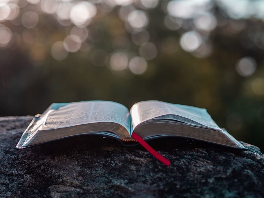 book pages on gray stone during daytime, bible, read, bokeh, faith, HD wallpaper