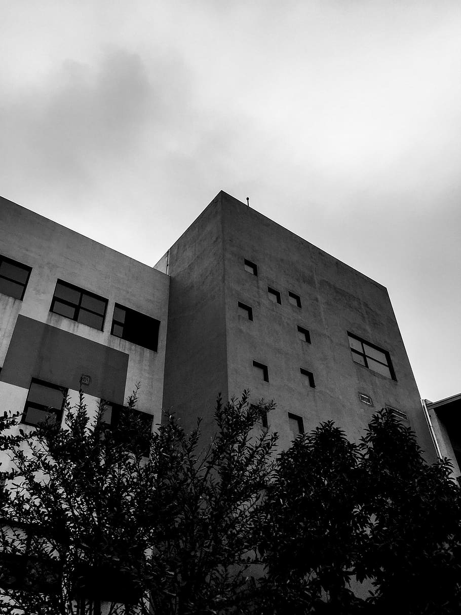 prison, tree, building, school, architecture, sky, building exterior HD wallpaper