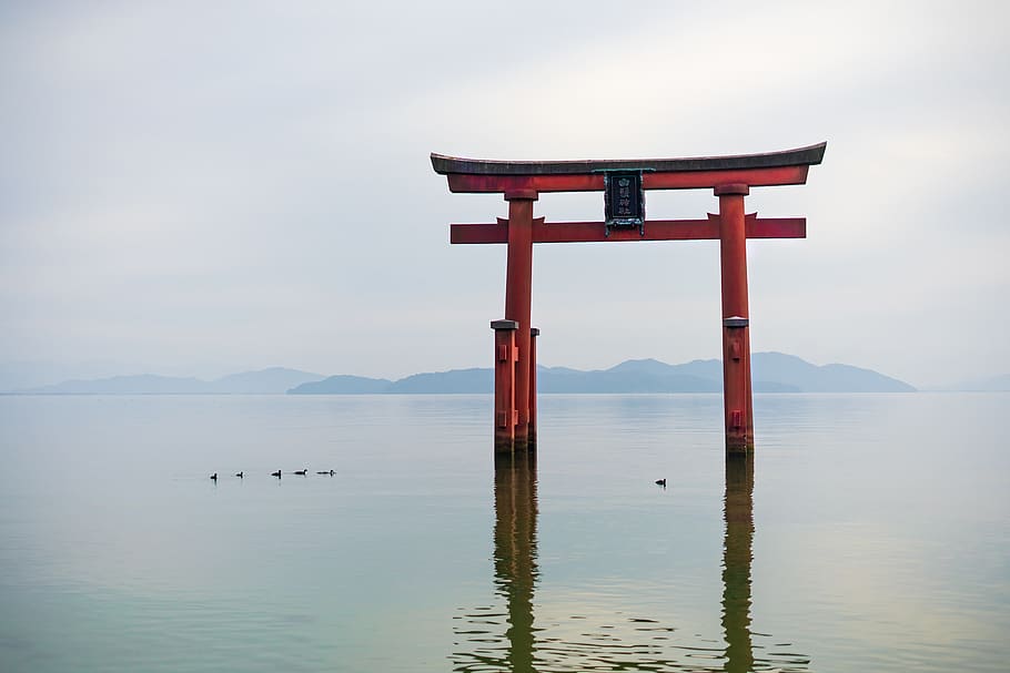 torii, sea, japan, shrine, lake biwa, shiga, water, religion