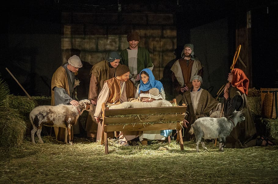 living nativity, creche, christmas, baby jesus, mammal, men