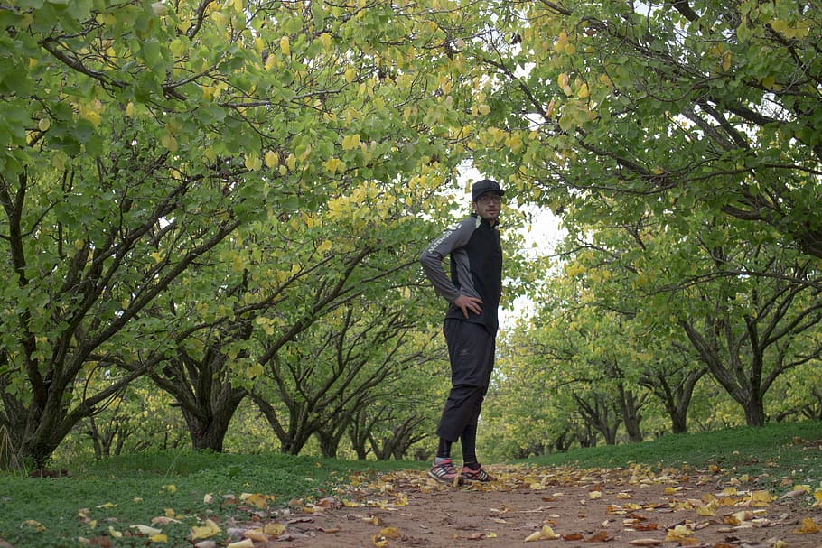algeria, tree, plant, full length, one person, real people HD wallpaper