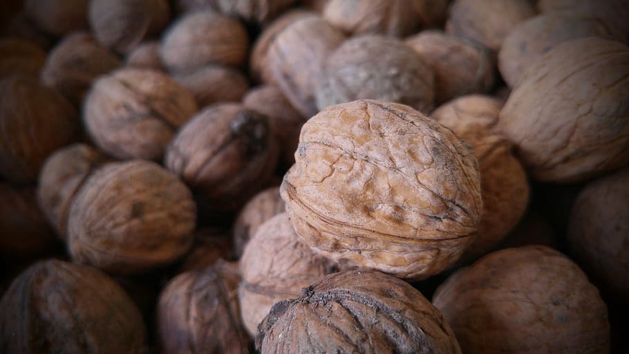 walnut, autumn, crop, food and drink, healthy eating, wellbeing HD wallpaper