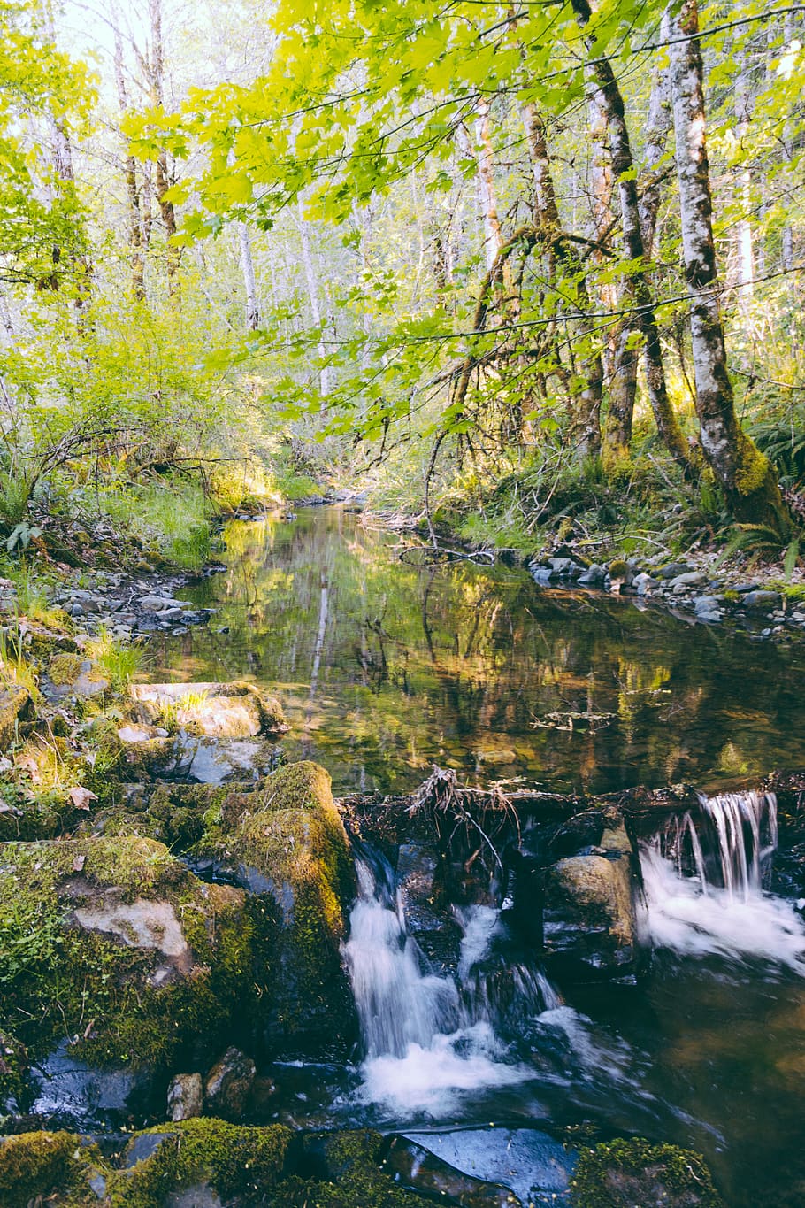 water, nature, outdoors, stream, creek, river, land, united states, HD wallpaper