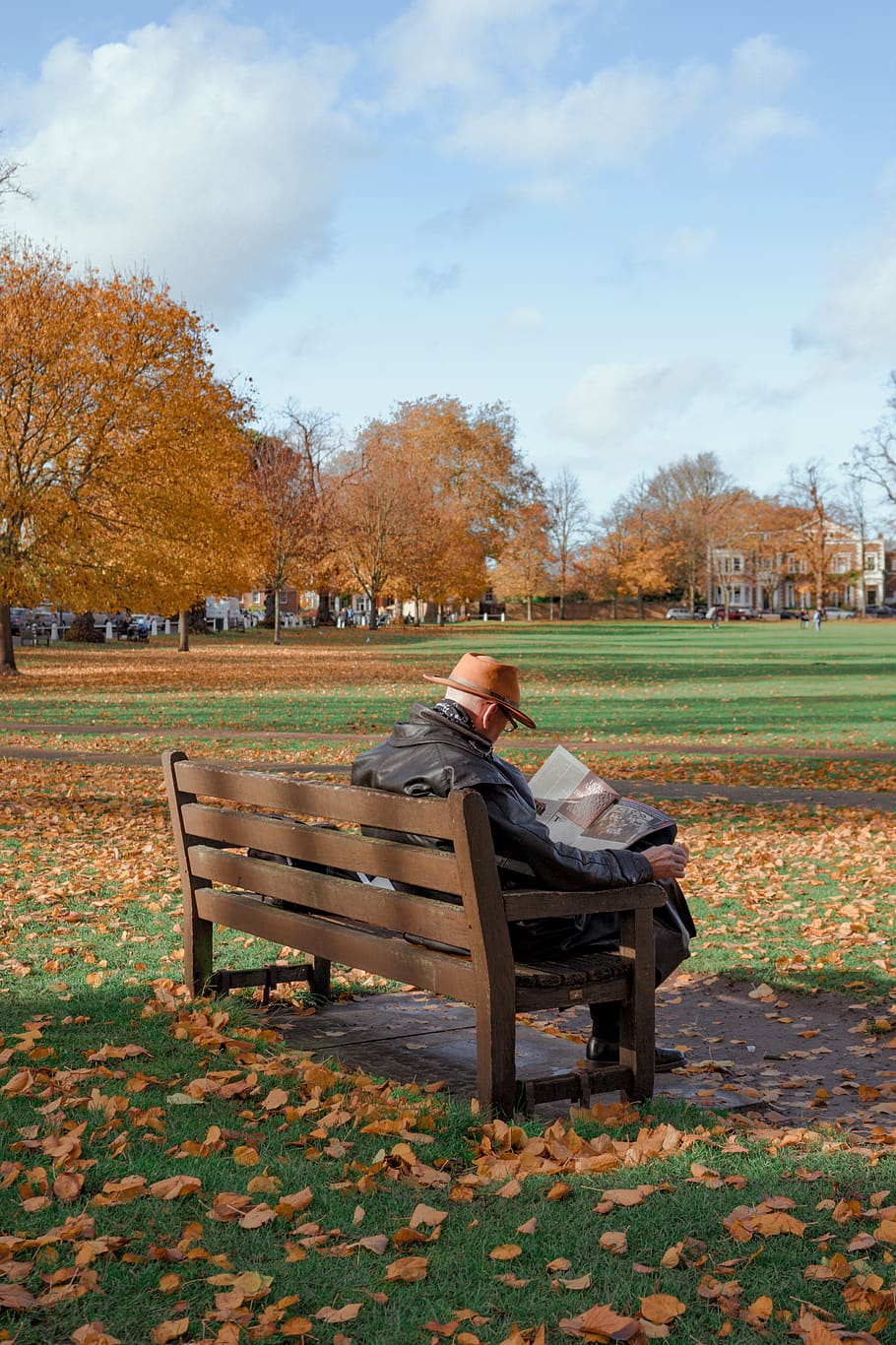 london, bench, reading, man, grass, sky, park, tree, autumn HD wallpaper