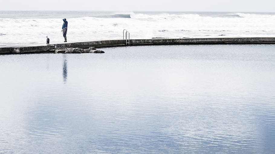 Person Standing Near Body of Water, animal, beach, daylight, dock HD wallpaper