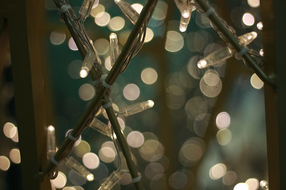 fairy lights, bright, magic, mysterious, fantasy, dark, mystical HD wallpaper