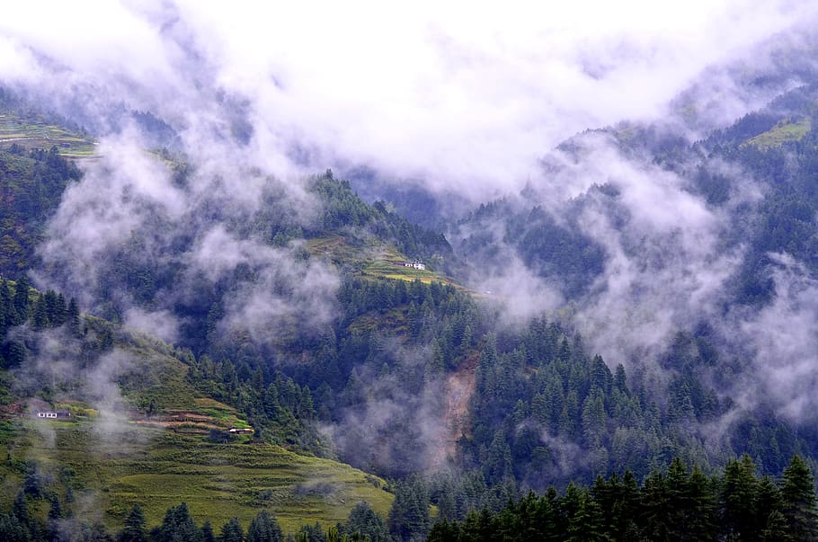 mountain, forest, landscape, nature, mountains, trees, clouds HD wallpaper