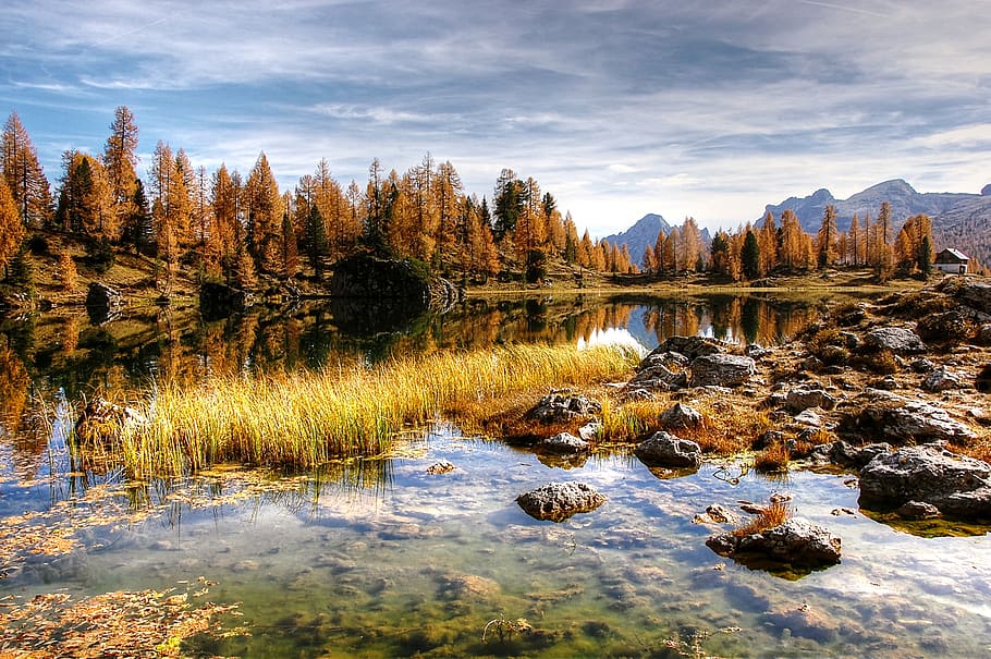 lago federa, dolomites, landscape, alpine, nature, lake, italy, HD wallpaper