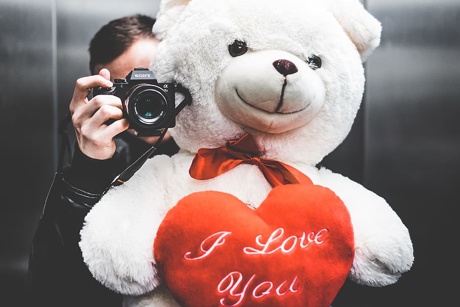 Young Man Taking Selfie with Big Teddy Bear for His Girlfriend in Elevator, HD wallpaper