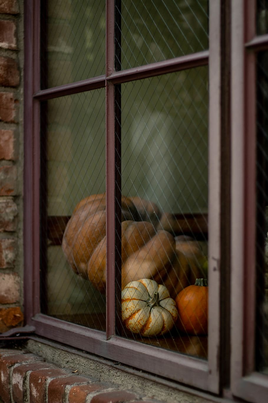 squashes beside window, plant, pumpkin, food, vegetable, produce HD wallpaper