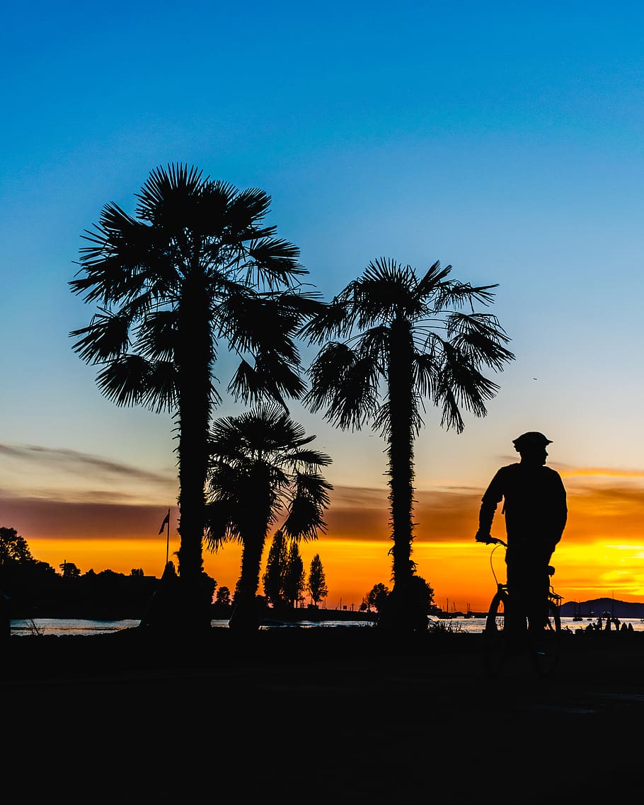 canada, vancouver, sunset beach park, pine, summer, bike, exercise HD wallpaper