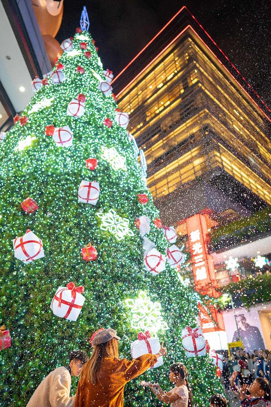 Christmas Tree, plant, ornament, human, person, xinyi district, HD wallpaper