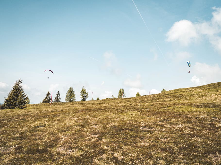 Grass Field Under Blue Sky, clouds, daylight, environment, grassland HD wallpaper