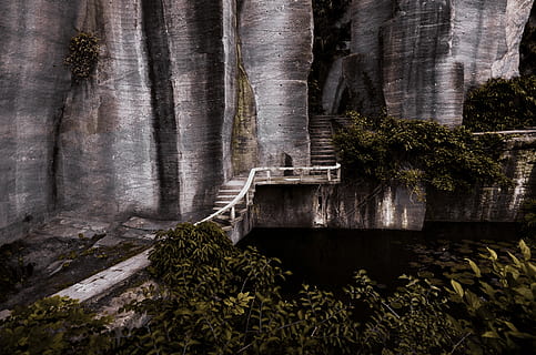 gray concrete rock formation, cliff, stair, step, tree, forest HD wallpaper