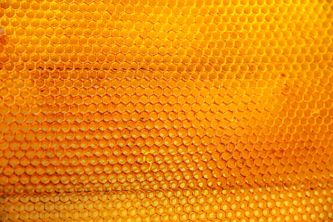 a-yellow-bubble-texture-pattern-thumbnail.jpg