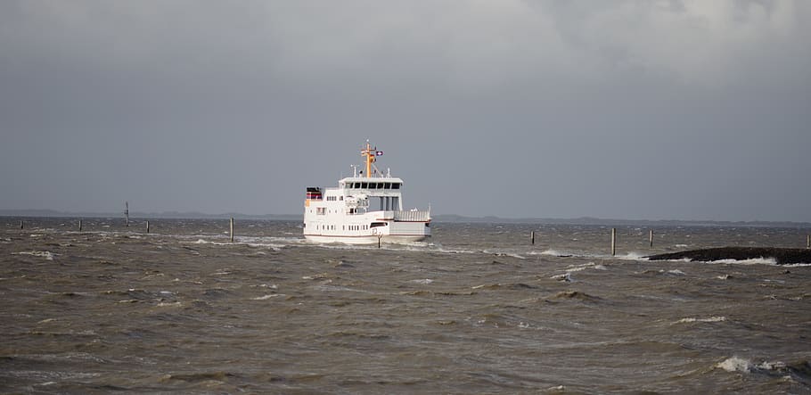 ship, steamer, boat, river, water, steamboat, sea, river boat HD wallpaper