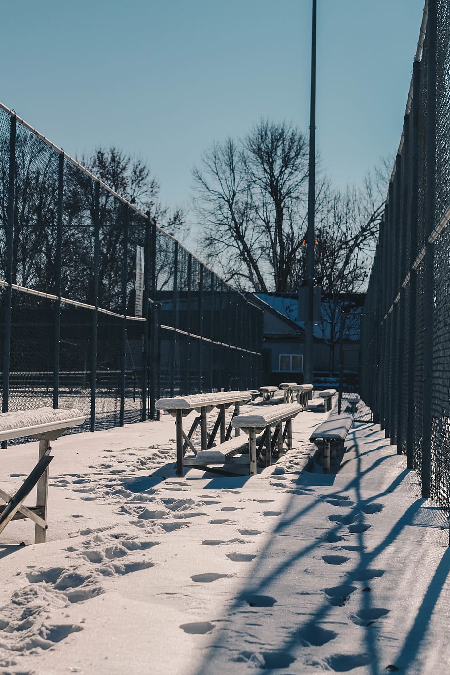 benches covered in snow, banister, handrail, wood, furniture HD wallpaper