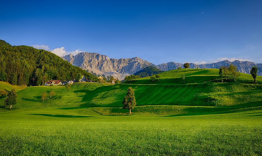 Landscape Photography Of Green Grass Field, countryside, daylight HD wallpaper