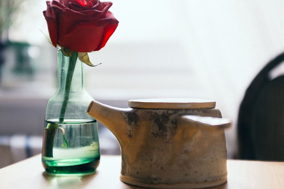 Tiny teapot and rose, background, beautiful, bouquet, breakfast HD wallpaper