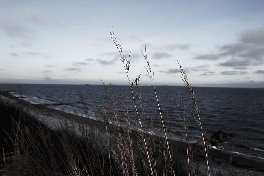 beach, water, ocean, sand, sky, sea, horizon over water, tranquility HD wallpaper