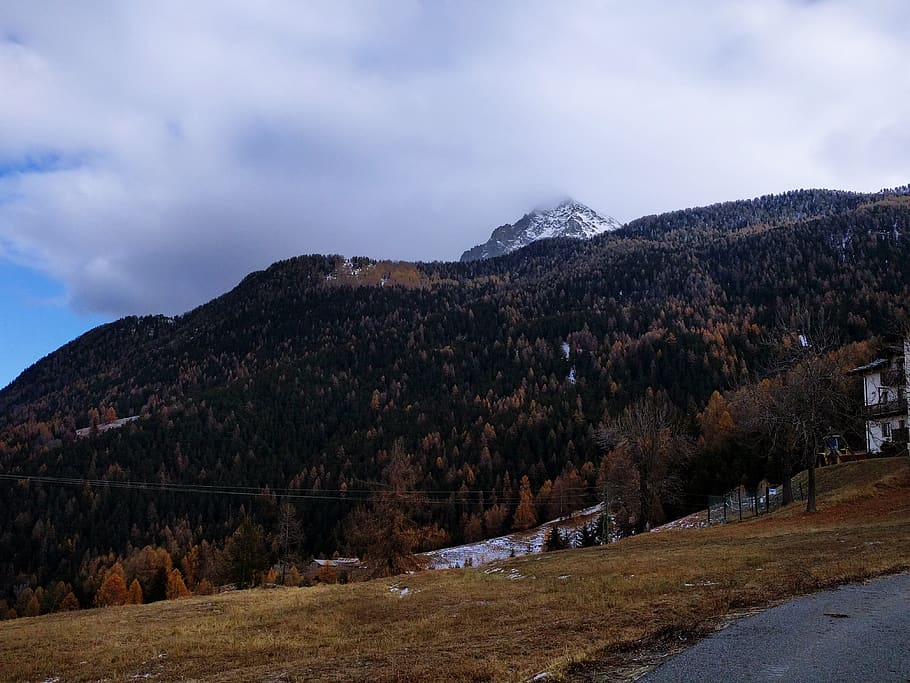 Nature Photography of Trees and Mountain, adventure, clouds, dawn HD wallpaper