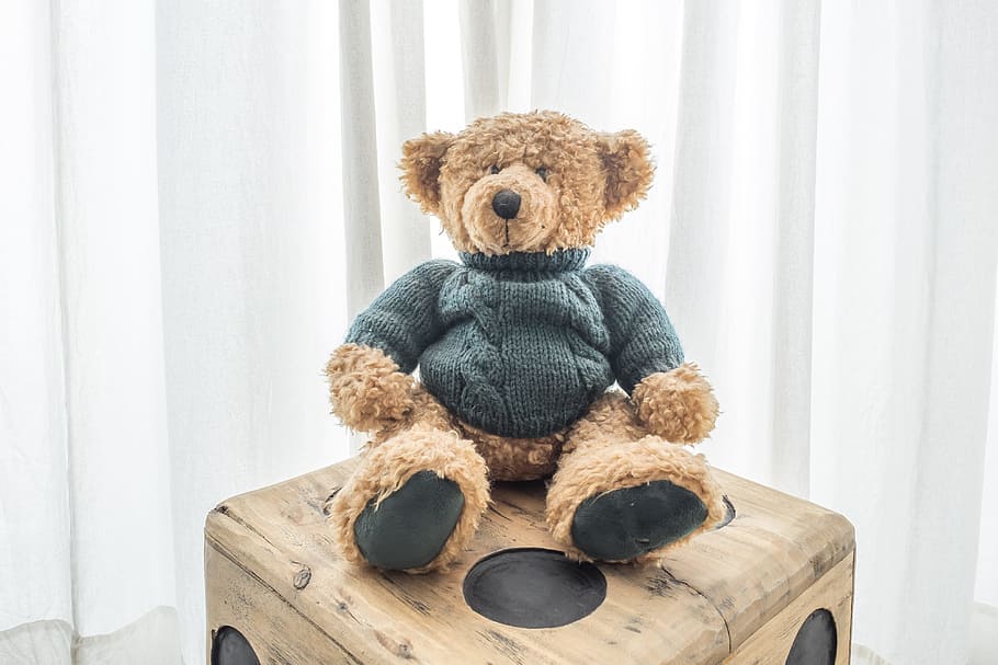 Sitting teddy bear, alone, animal, baby, background, beautiful, HD wallpaper