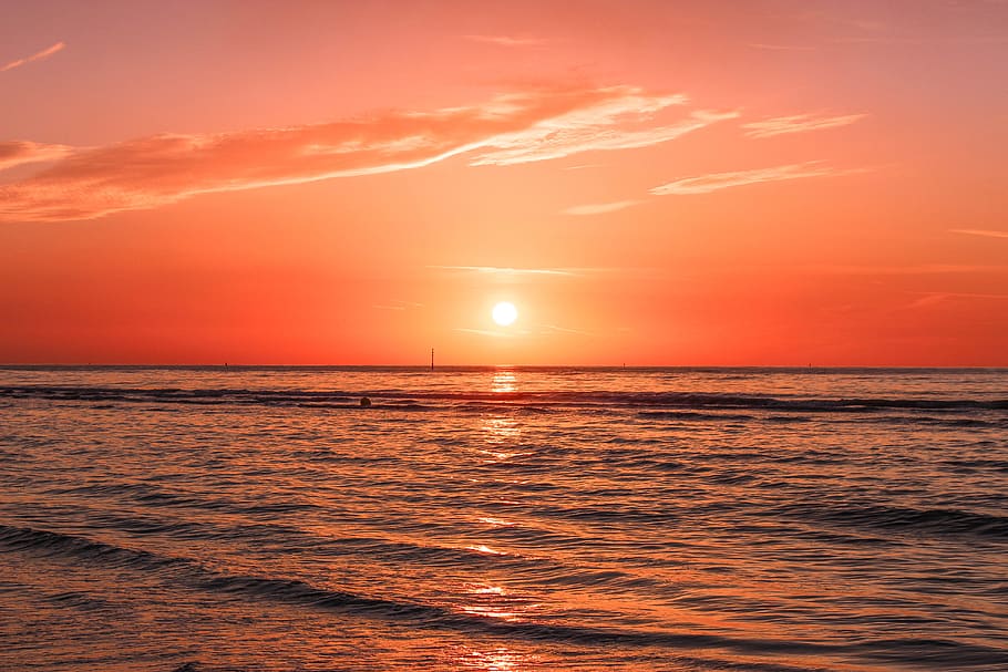 sunset at the beach, water, sea, sky, beauty in nature, horizon over water HD wallpaper