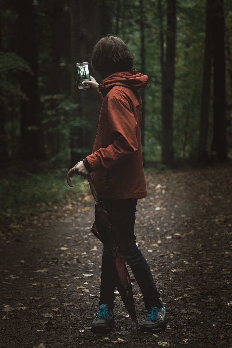 woman wearing red hoodie holding smartphone near green leafed tree, HD wallpaper