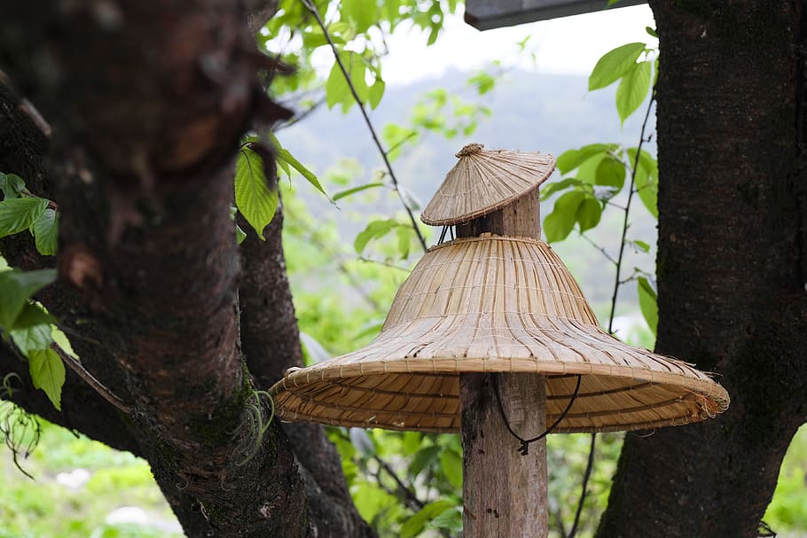 taiwan, yuanshan township, decoration, tree, trees, bamboo hat