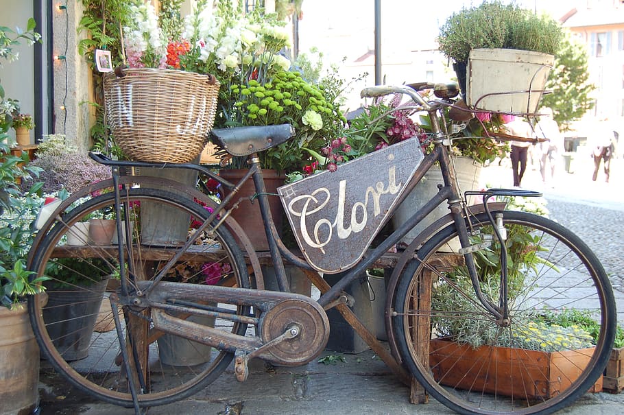 basket, land vehicle, bicycle, bicycle basket, transportation HD wallpaper