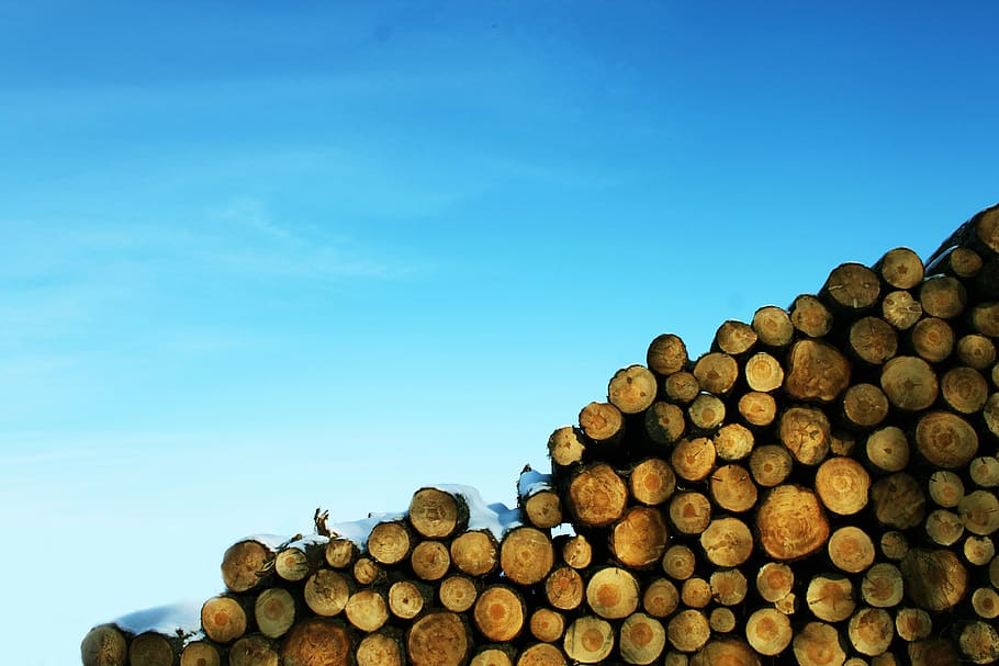 trees, sky, blue, wood, snow, stack, log, timber, lumber industry HD wallpaper