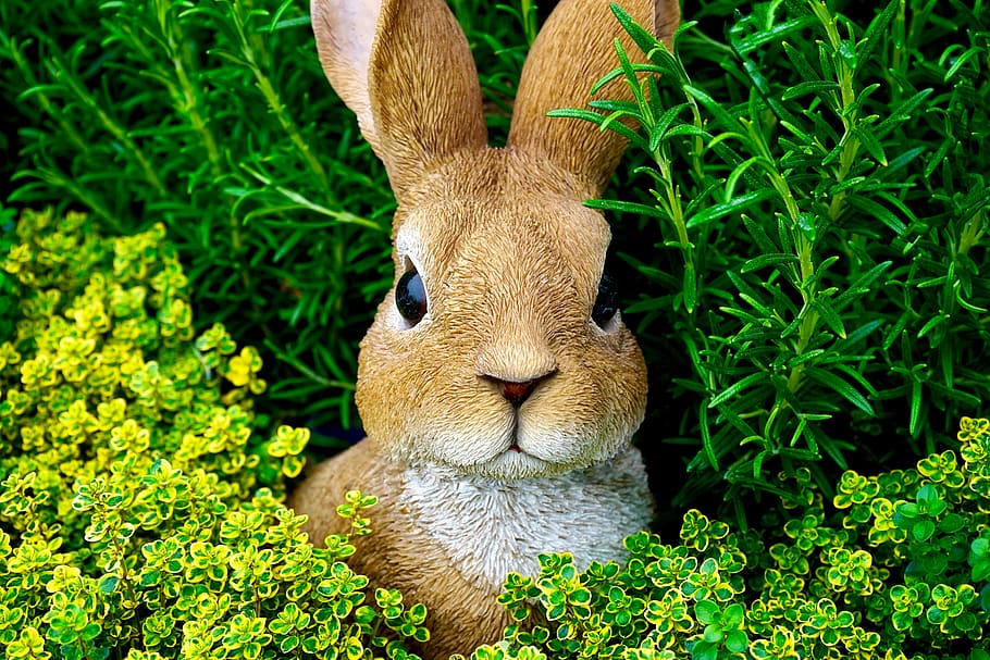 Brown Rabbit Figurine, bunny, cute, ears, easter bunny, field HD wallpaper
