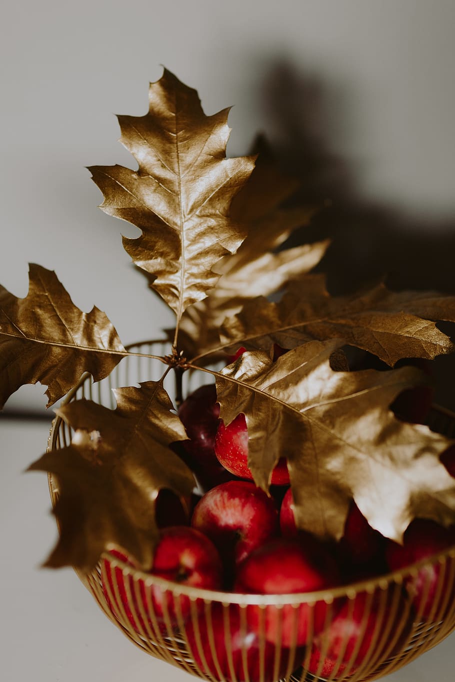 Red apples and golden oak leaves, gold leaves, golden leaves HD wallpaper