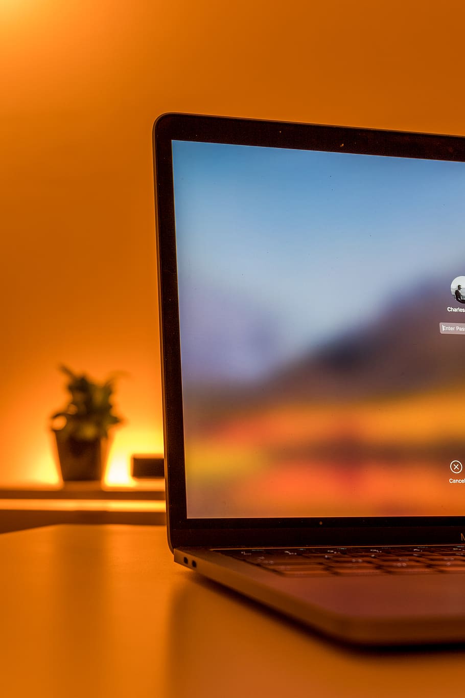 turned-on gray laptop computer, technology, television set, indoors HD wallpaper