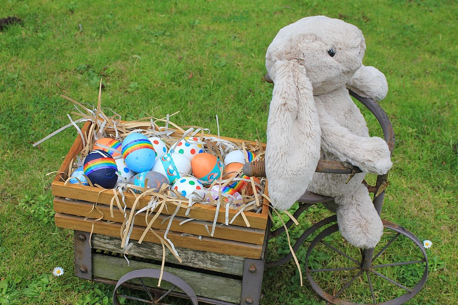 eggs, dyed, rabbit, nesting material, straw, chicken eggs, bicycle HD wallpaper