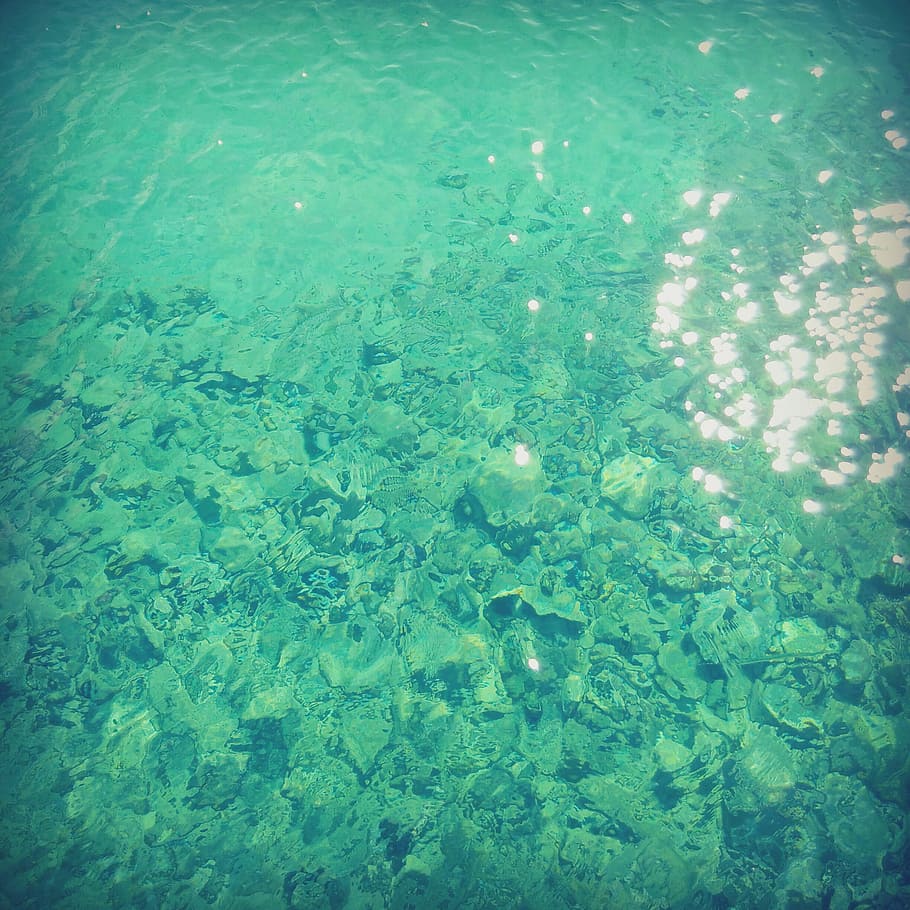 Body of Water With Shells, colors, reflection, nature, high angle view HD wallpaper