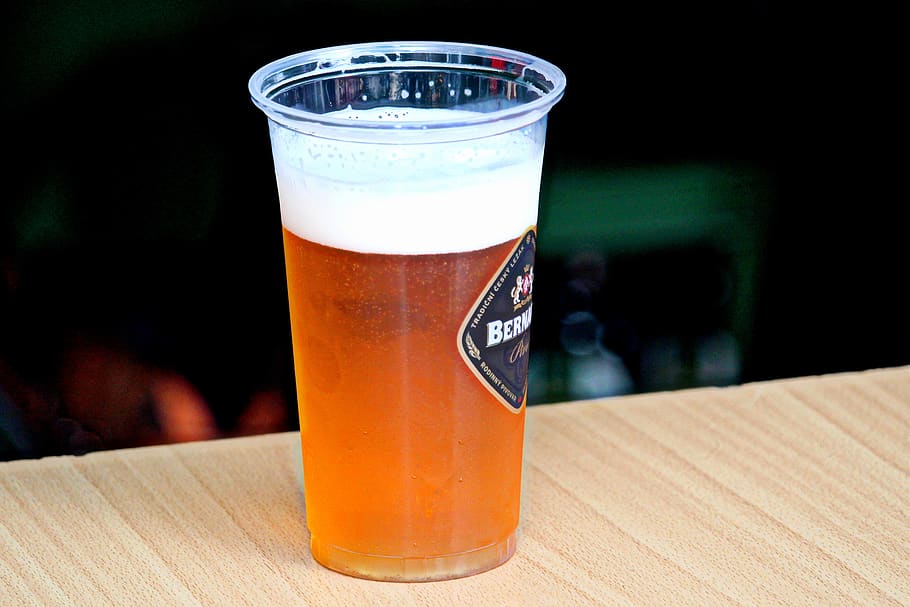 beer, bernard, cup, alcohol, a glass of beer, festival, beverage HD wallpaper